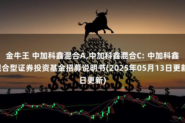 金牛王 中加科鑫混合A,中加科鑫混合C: 中加科鑫混合型证券投资基金招募说明书(2025年05月13日更新)