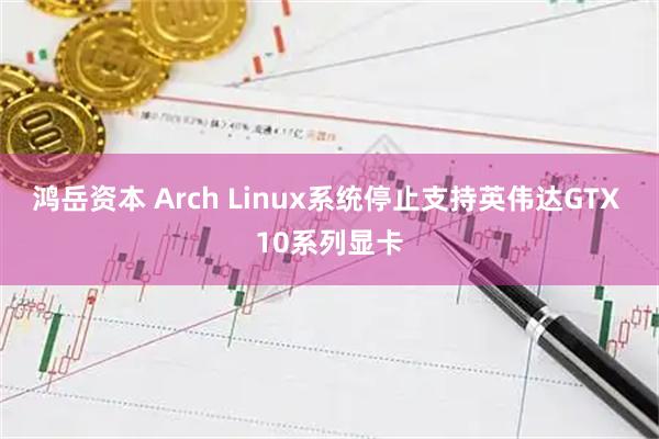 鸿岳资本 Arch Linux系统停止支持英伟达GTX 10系列显卡