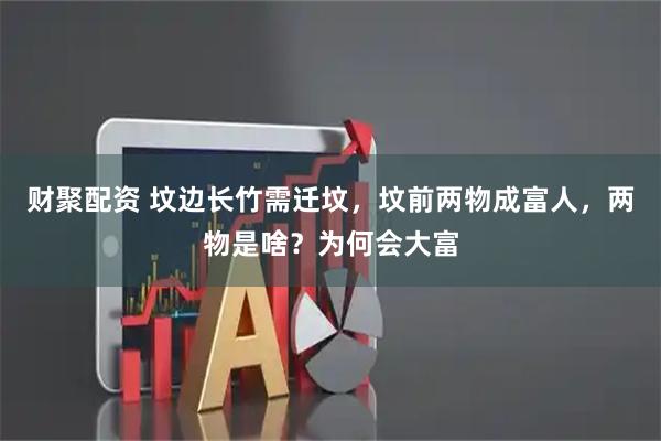 财聚配资 坟边长竹需迁坟，坟前两物成富人，两物是啥？为何会大富